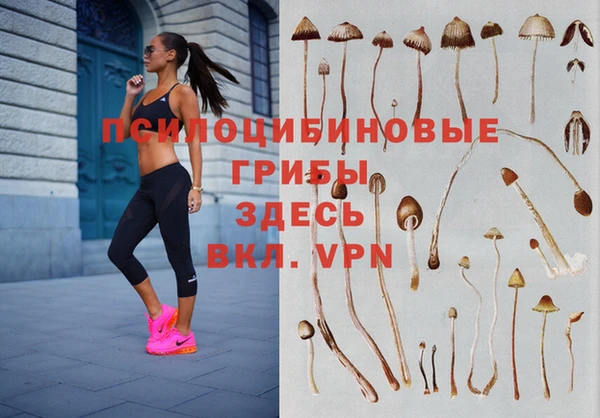 круглые Бородино
