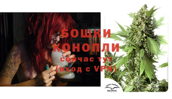 не бодяженный Верея