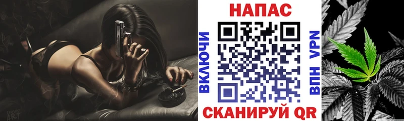 Канабис план  Купить  Северская 
